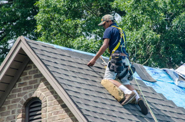 Best Emergency Roof Repair  in Leitchfield, KY